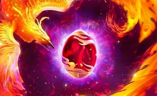 Capa de Phoenix Rises